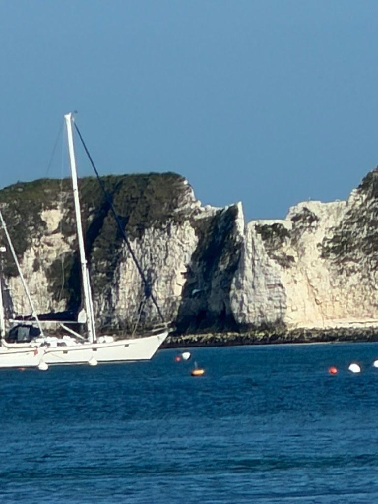 the beauty of Studland bay