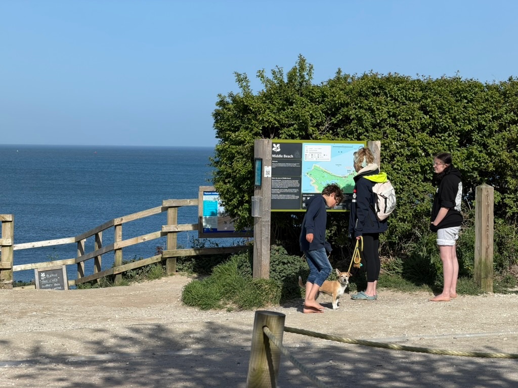 the beauty of Studland bay
