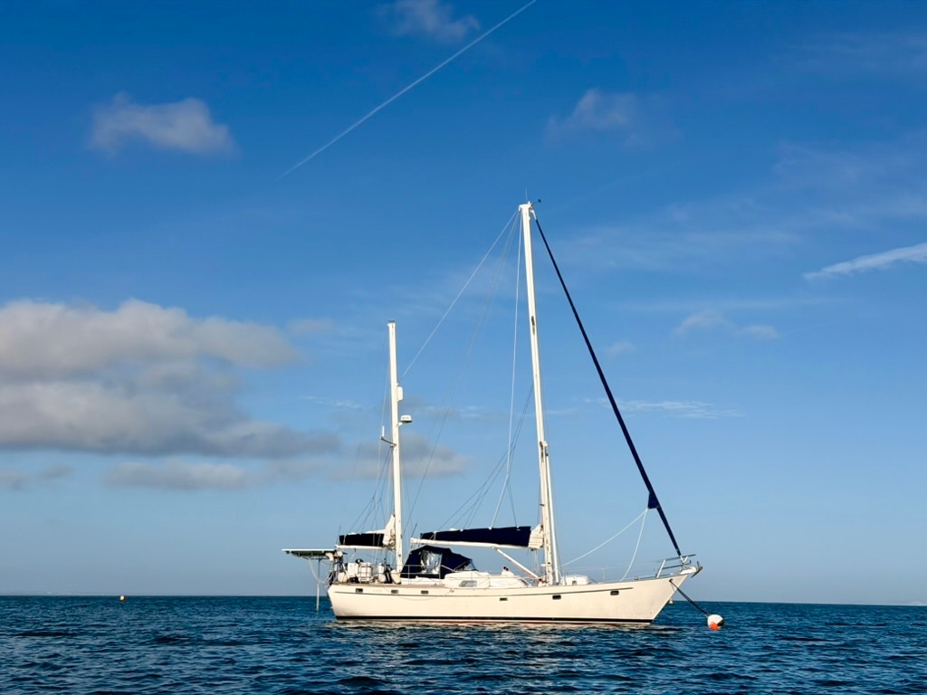 the beauty of Studland bay
