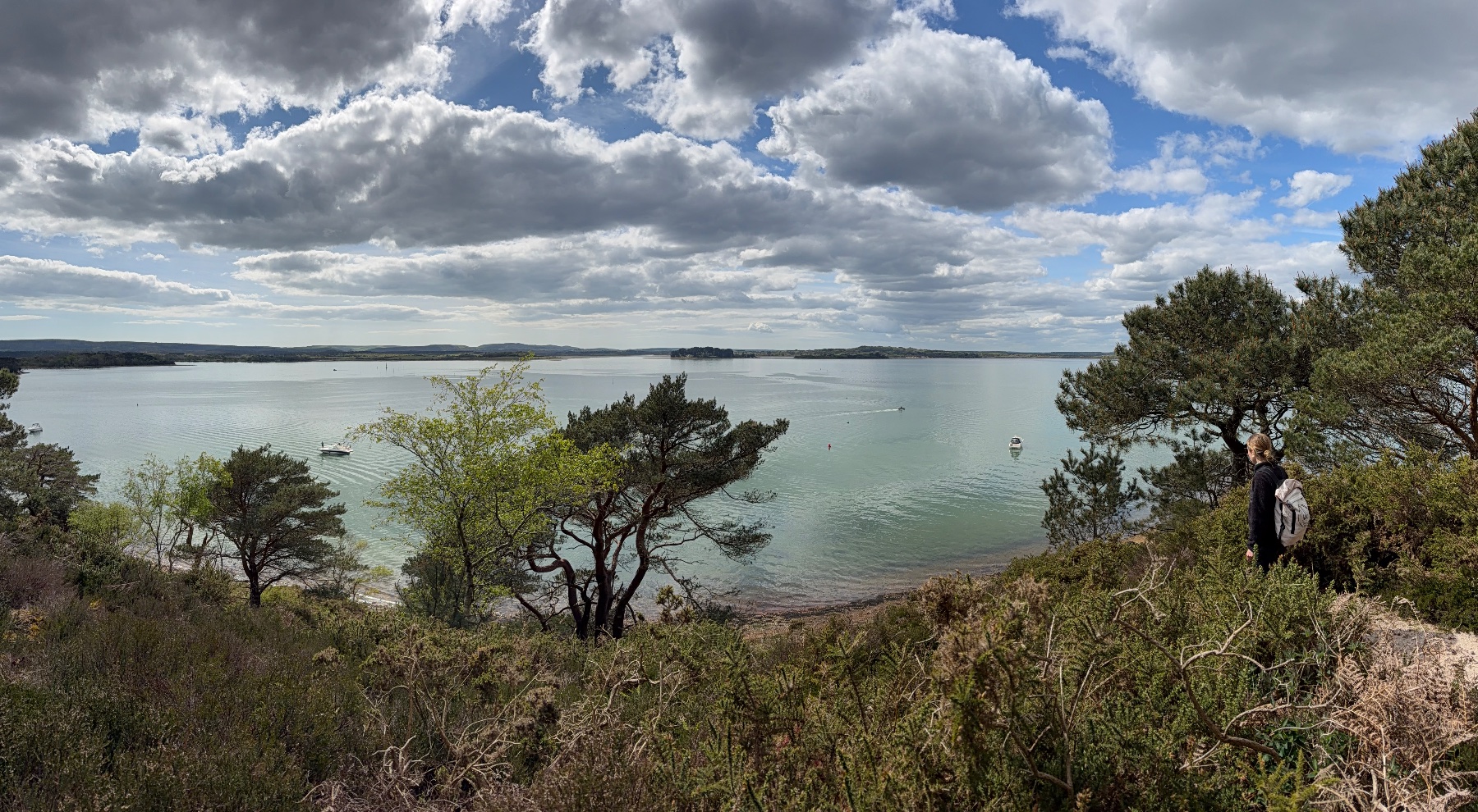 Poole Harbour from Brownsea
