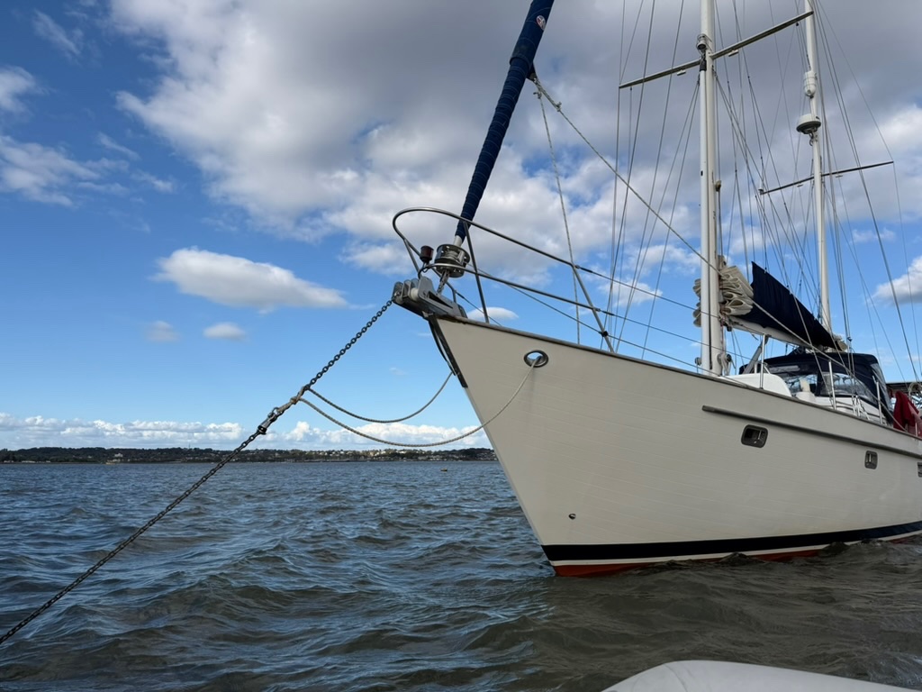 the beauty of Studland bay